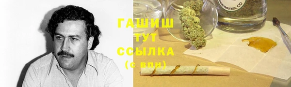 PSILOCYBIN Волосово